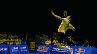 badmintonImg.gif