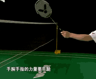 badminton10.gif