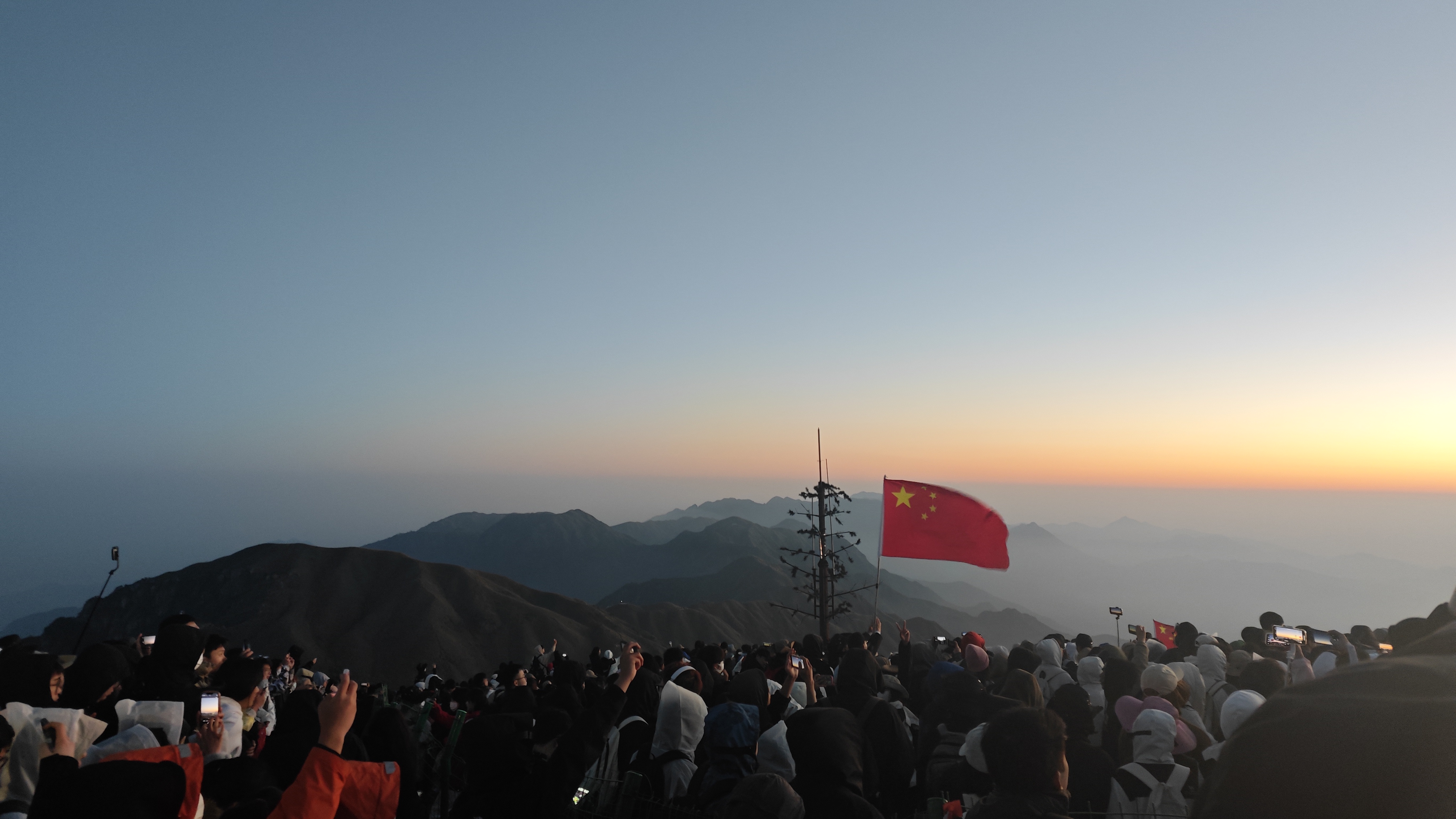 标