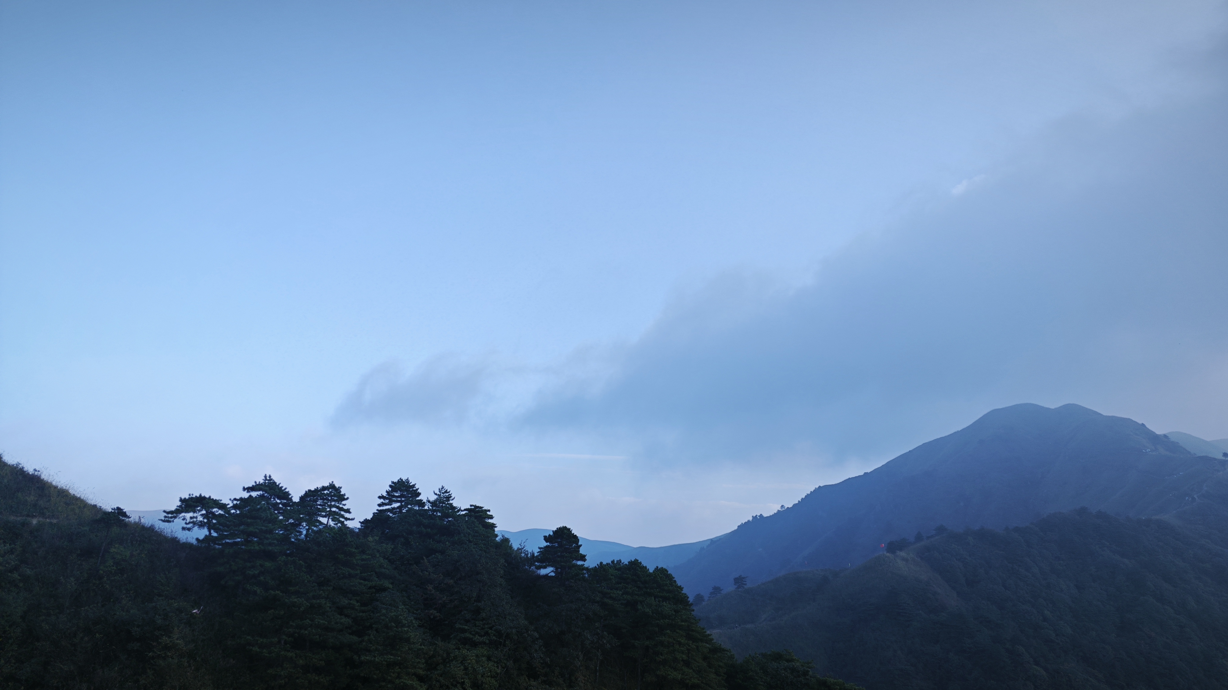 标